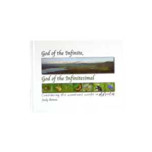 God of the Infinite, God of the Infinitesimal